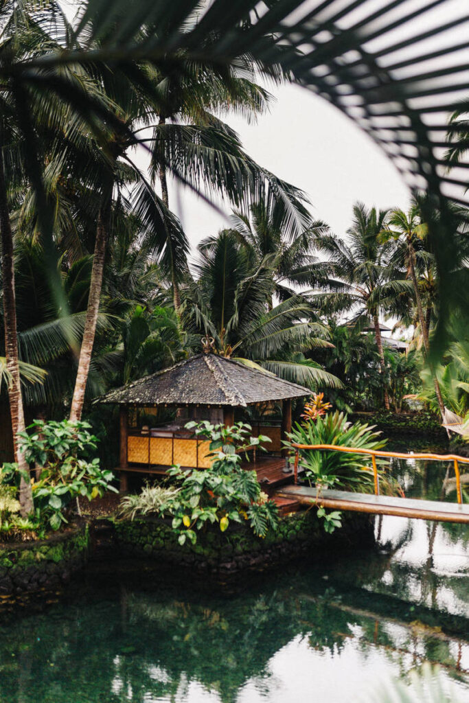 OKRs vs. KPIs: What Works Best for Indian Start-ups?